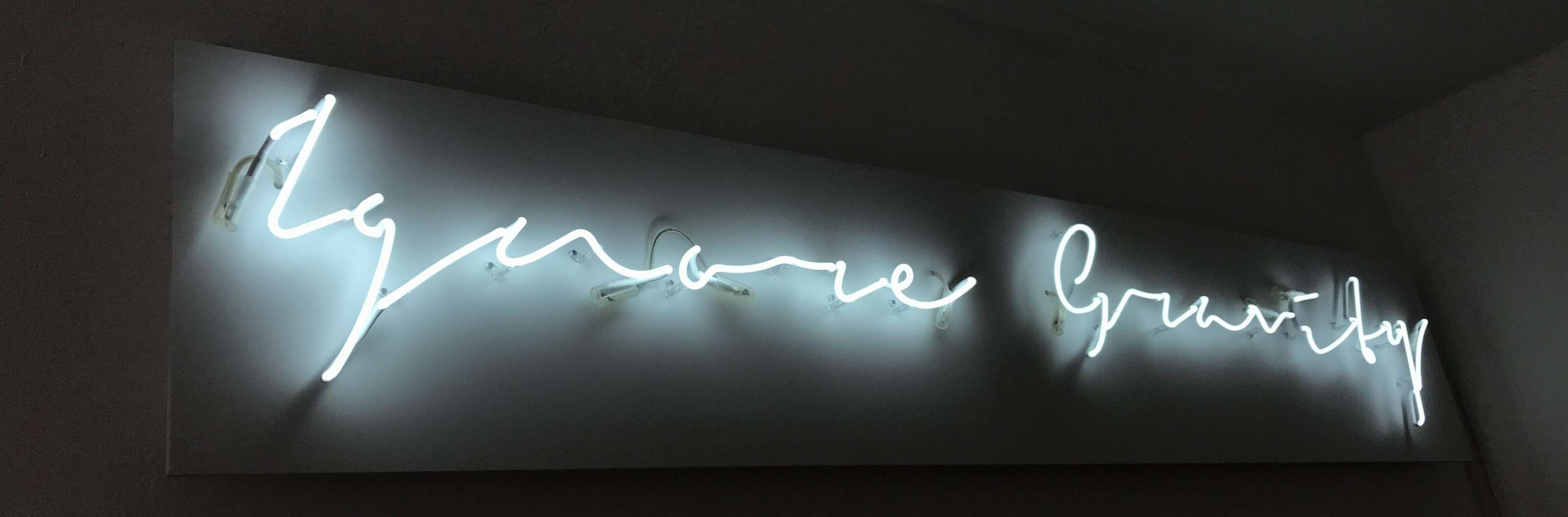 ignore gravity sign